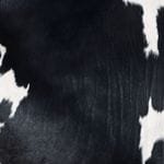 alfombra piel de vaca argentina